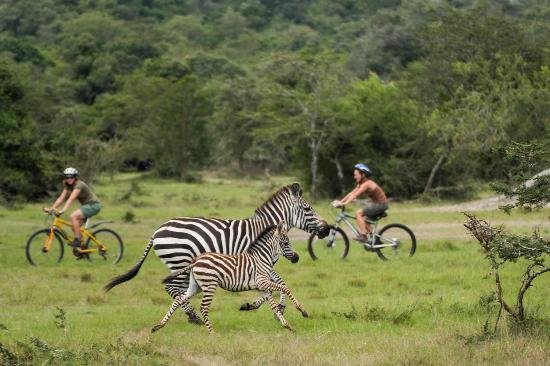 Cycling safari in Lake Mburo National Park Uganda