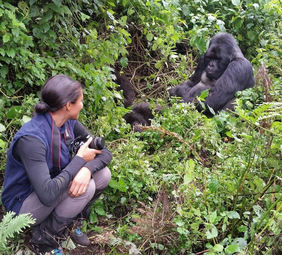 Mountain gorilla trekking on a Midrange Uganda Safari