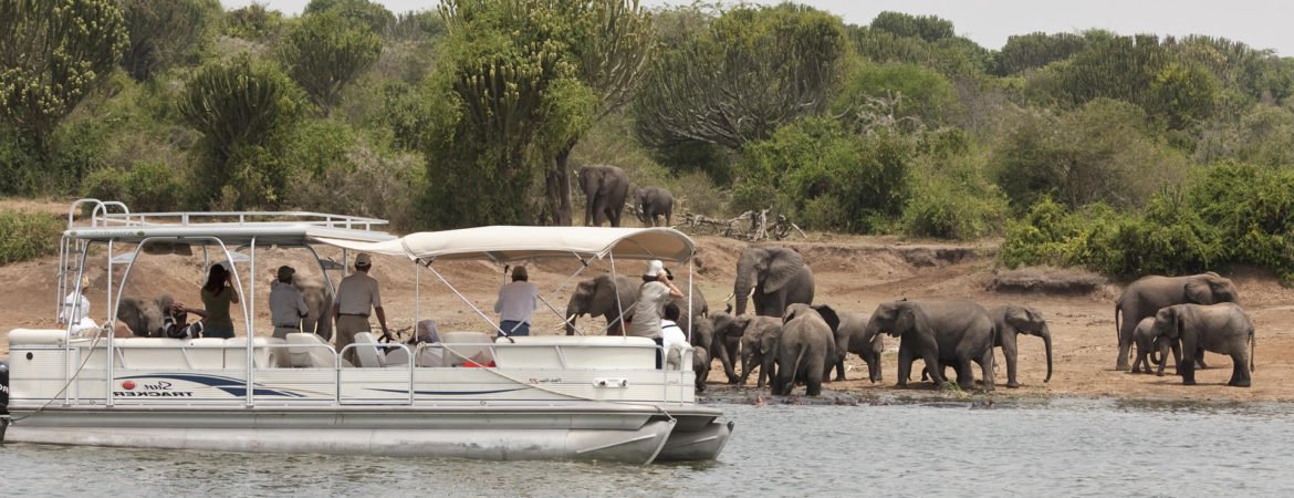 Kazinga Channel boat safari in Queen Elizabeth National Park