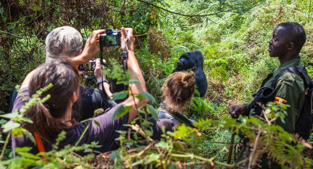 3 Days Midrange Uganda Gorilla Trekking Safari in Mgahinga National Park