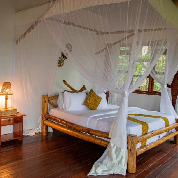 7 Days Midrange Primate Safari Uganda