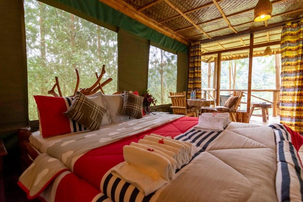 Midrange lodge for gorilla trekking in Uganda