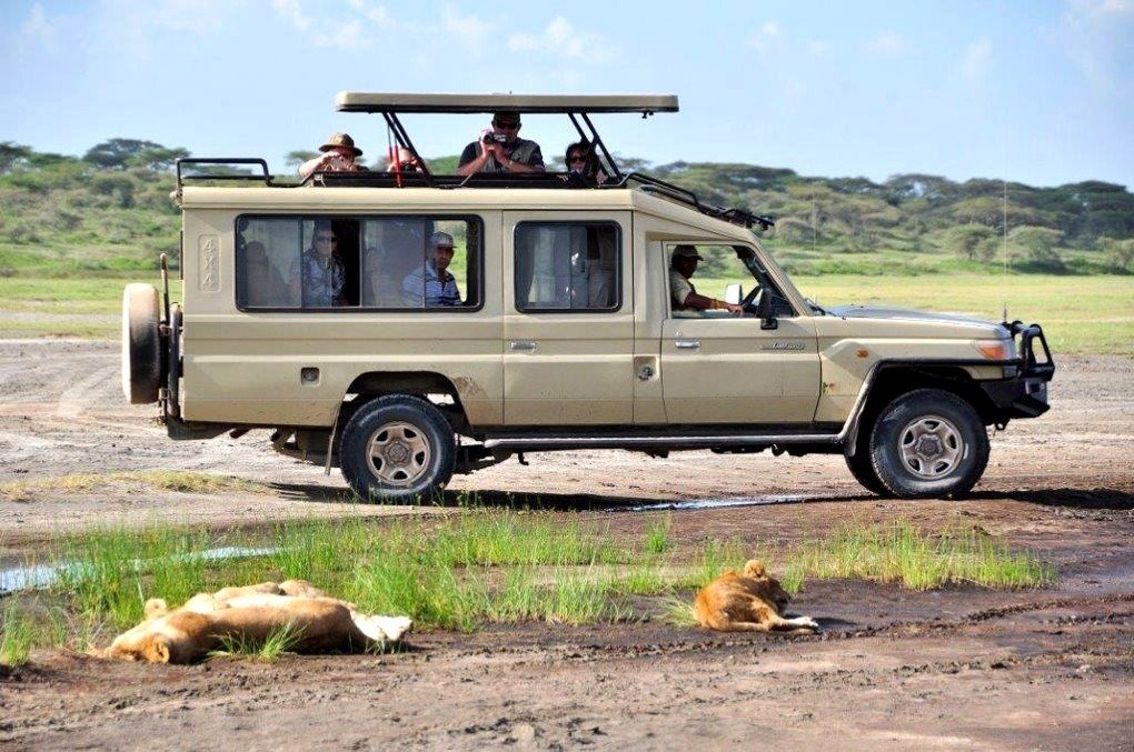 Best 5 Days Midrange Gorilla and Wildlife Safari Uganda