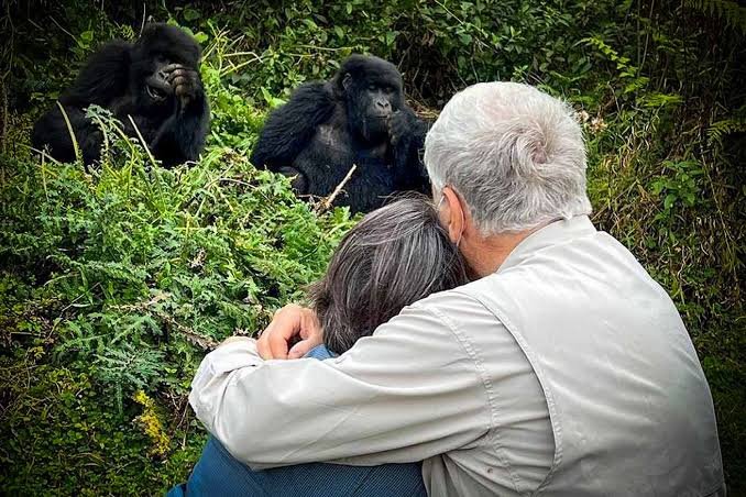 Gorilla Habituation Experience in Uganda safari travellers